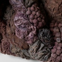 <a href=https://www.galeriegosserez.com/gosserez/artistes/l-c-lab.html> L&C Lab</a> - Biomater